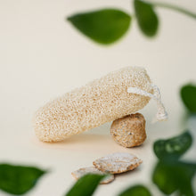 Load image into Gallery viewer, Natural Vegetable Loofah - Body scrubber - Pack of 3
