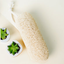 Load image into Gallery viewer, Natural Vegetable Loofah - Body scrubber - Pack of 3
